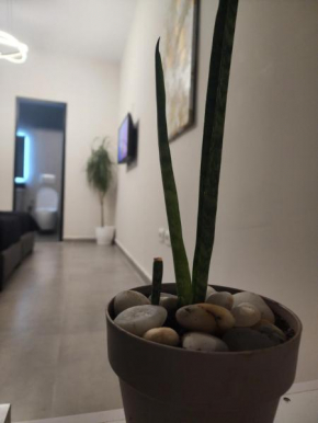 Apartament Tirana Contact